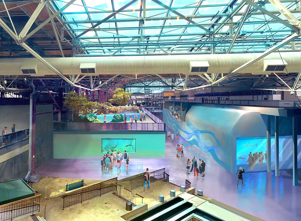 St. Louis Aquarium 2
